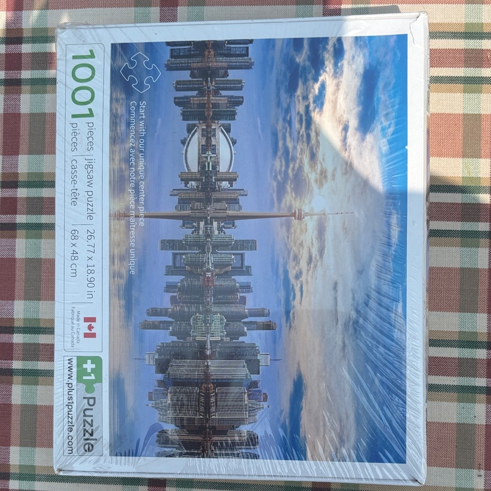 Toronto Skyline Puzzle - 1001 Pieces
